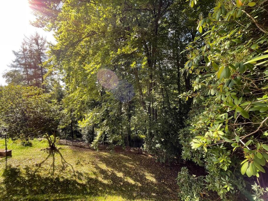 Sorpe Lodge - Entspannte Urlaubstage Am See! Langscheid  Exterior foto